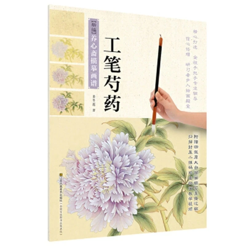 Gongbi Flor Peônia Desenho Tutorial para Adultos, Pintura Tradicional Art Book, Pintura Chinesa