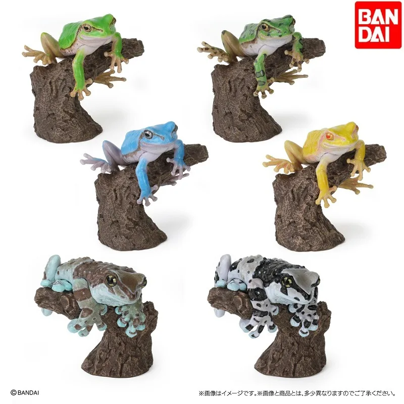 Original Bandai Big Biological Map Milk Tree Frog Gashapon Qversion Mini Animal Anime Action Figure Model Toys Gift Collection