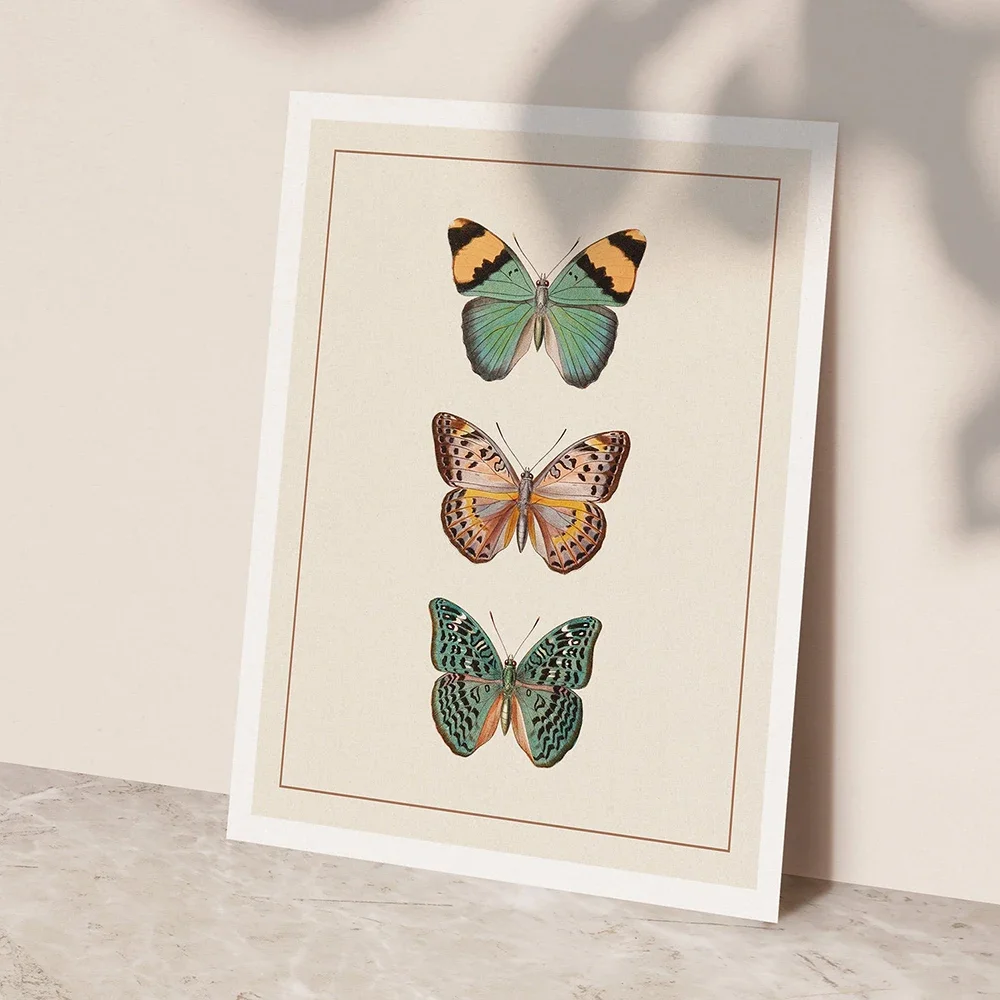 Beige Sepia Modern Victorian Butterfly Vintage Poster Prints Insect Education Wall Art Picture Canvas Painting Kids Room Deco