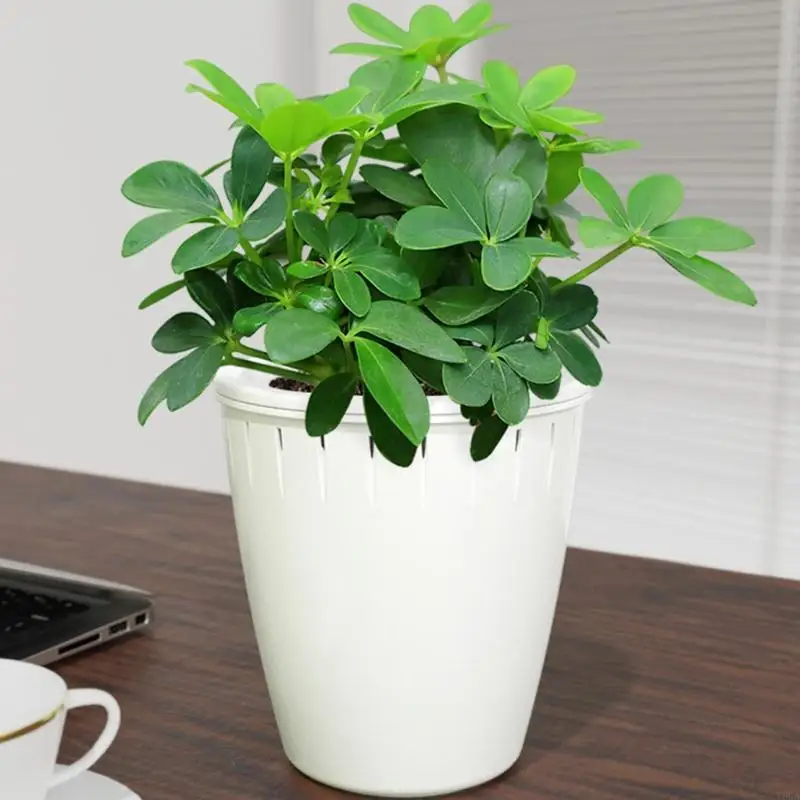 Dispositivos plantador agua automáticamente Insertar Herramientas riego automático (paquete 6) Accesorios riego