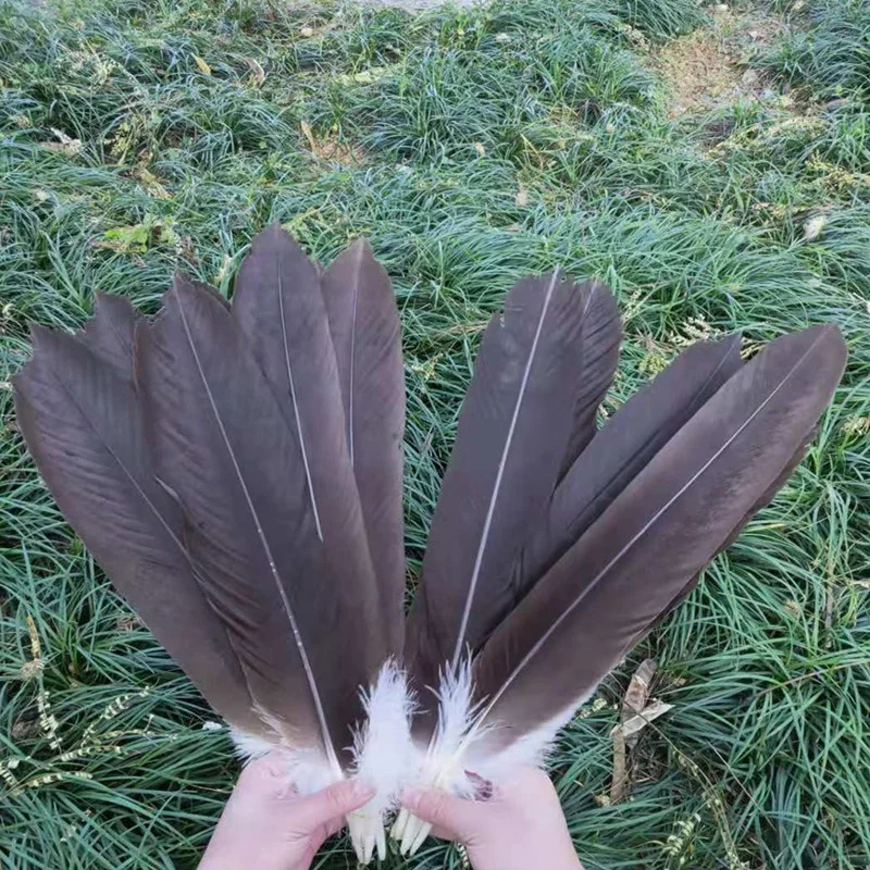 10PCS, eagle feathers, tail feathers 40-50 cm of natural golden eagle feathers