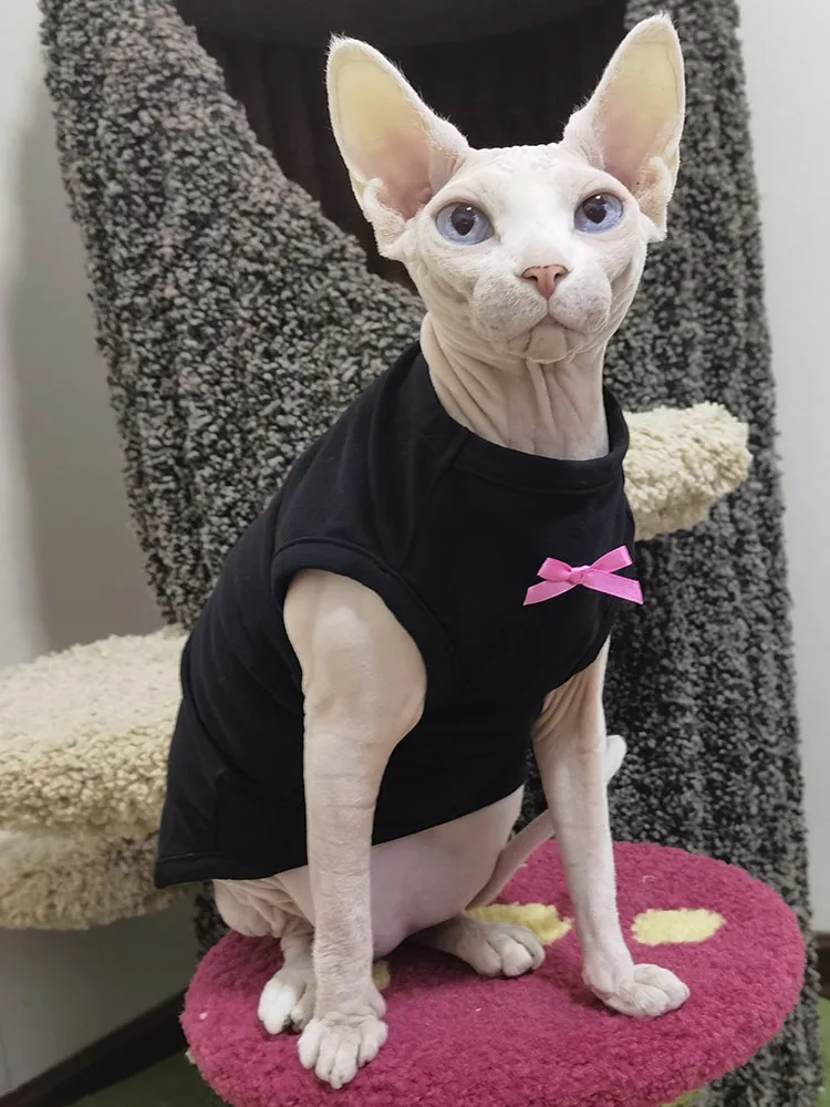 Sphynx Cat Dress with Bowtie in Summer Hairless Cat Clothes Soft Cotton Sweet Black Skirt for Devon Rex Shirt for Kittens