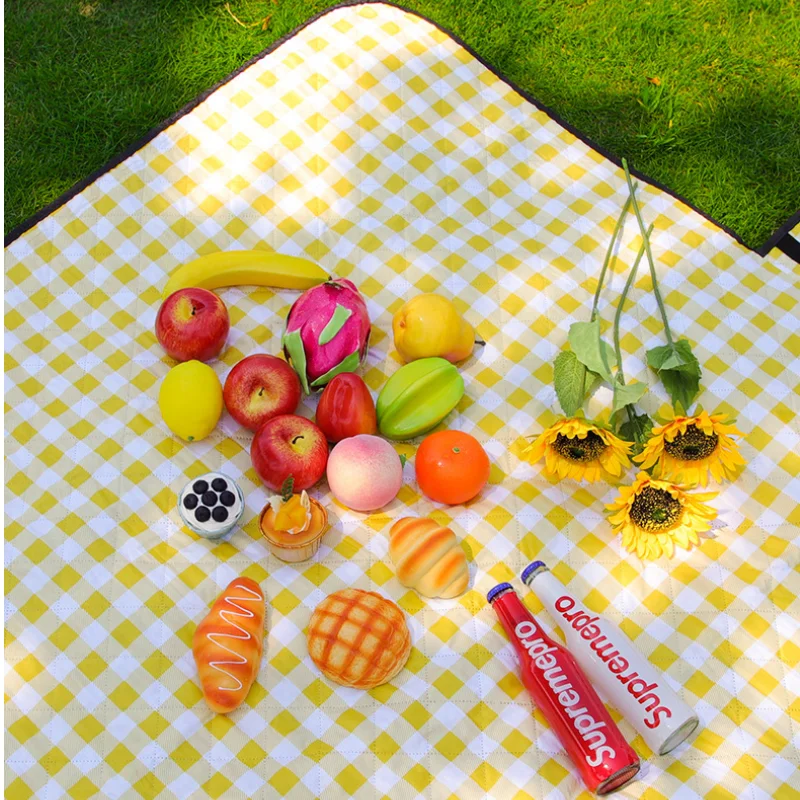 Thickened Waterproof Moistureproof Mat Picnic Cloth Outdoor Tent Camping Mat Fashion Simple Picnic Mat