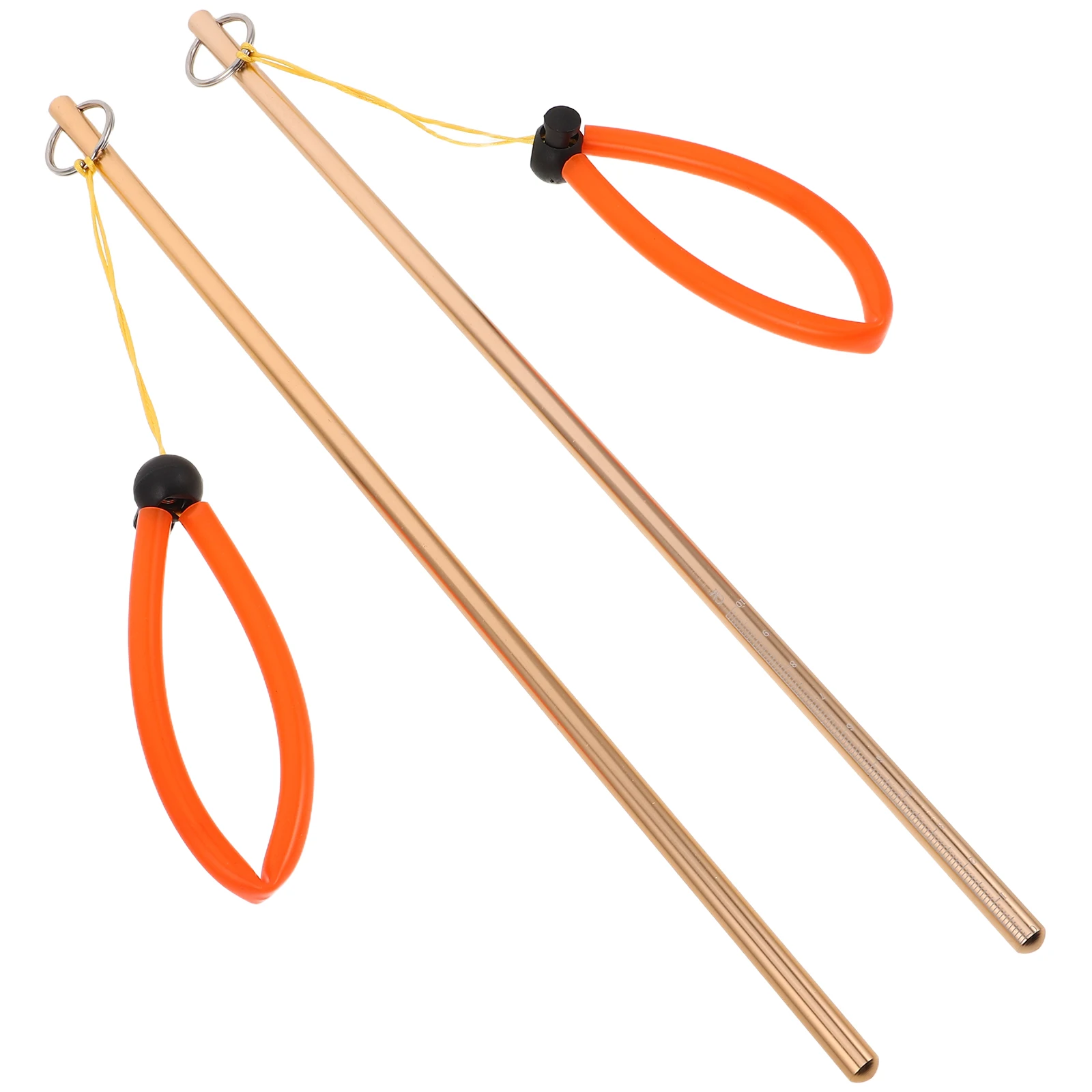 

2pcs Diving Probe Stick with Lanyard Precision Underwater Measurement Scuba Diving Pointer Lightweight High Pressure for Travel