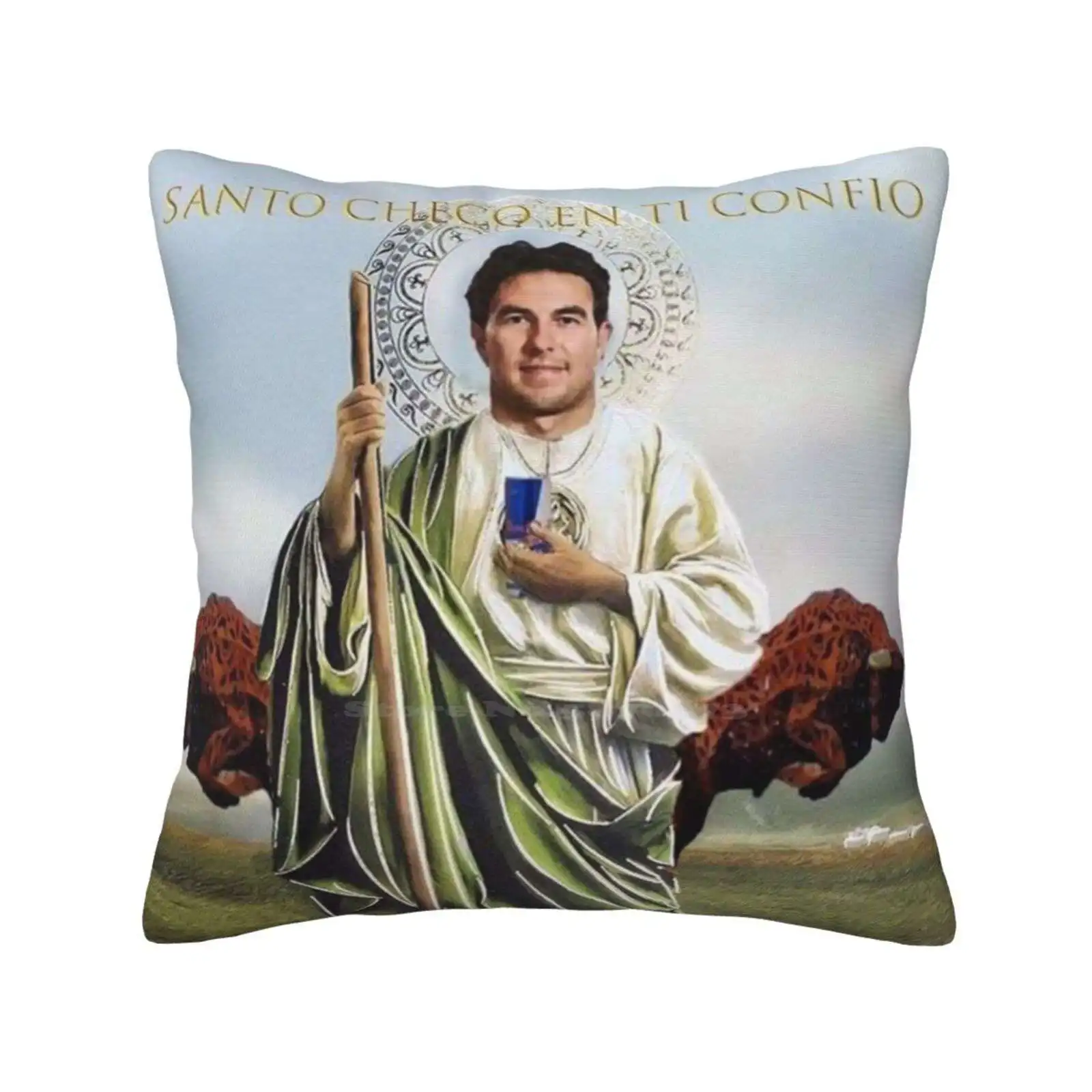 San Checo Of The Tyres Fashion Sofa Throw Pillow Cover Pillowcase Sergio Perez Checo Motorsport