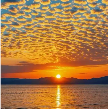 Tuya صندوق المفاتيح الذكي اقفال الصناديق اللاسلكية بصمة/كلمة المرور/البطاقة/بصمة الإصبع/المفتاح/فتح التطبيق IP65 صندوق المفاتيح الإلكترونية المقاومة للماء #1