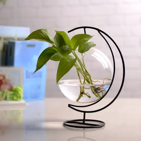 Kreativ Mini Klarglas Akvarium Guldfiskskål Hängande Hydroponisk Glasvaror Hängande Glasvas Klar Kreativ Hydroponisk 8 best sales miniakvarium - №1