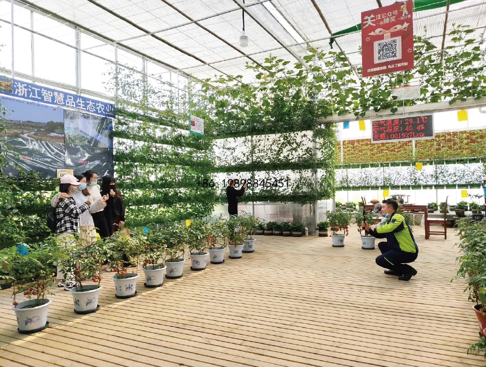 Greenhouse Automatic Irrigation Fertilizer EC pH Monitoring Multi-channel for Commercial