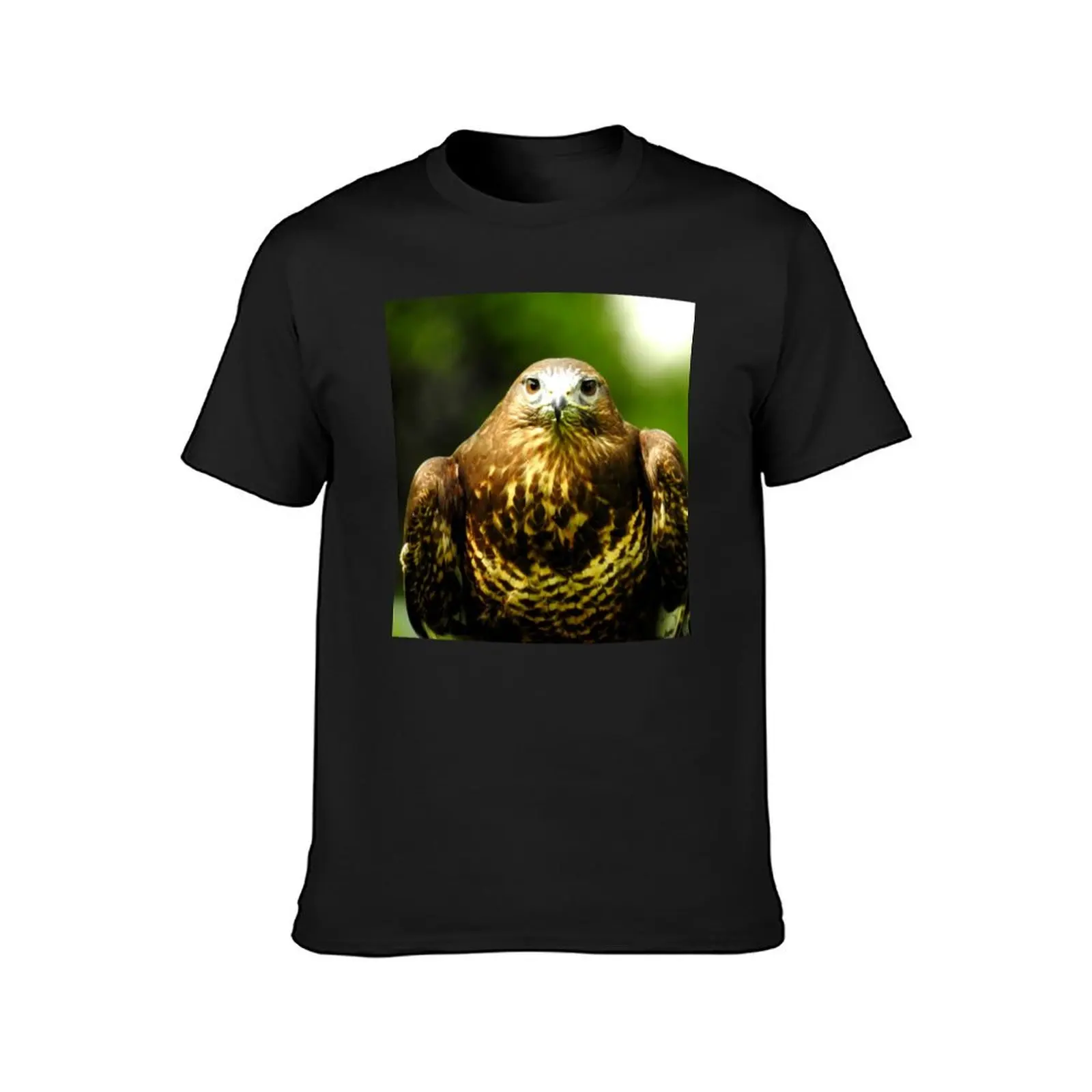 Locked-on Buzzard T-Shirt animal prinfor boys graphics Men's t-shirt