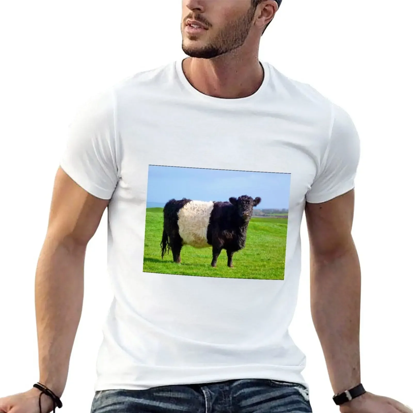 Belted Galloway Bull T-Shirt plain cute clothes customs design your own mens graphic t-shirts anime