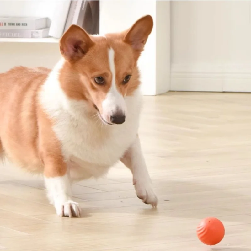 BOOTEELY Two-color Selectable Dog Auto-moving Chewing Toy Ball USB Smart Jumping Rotating Interactive Ball