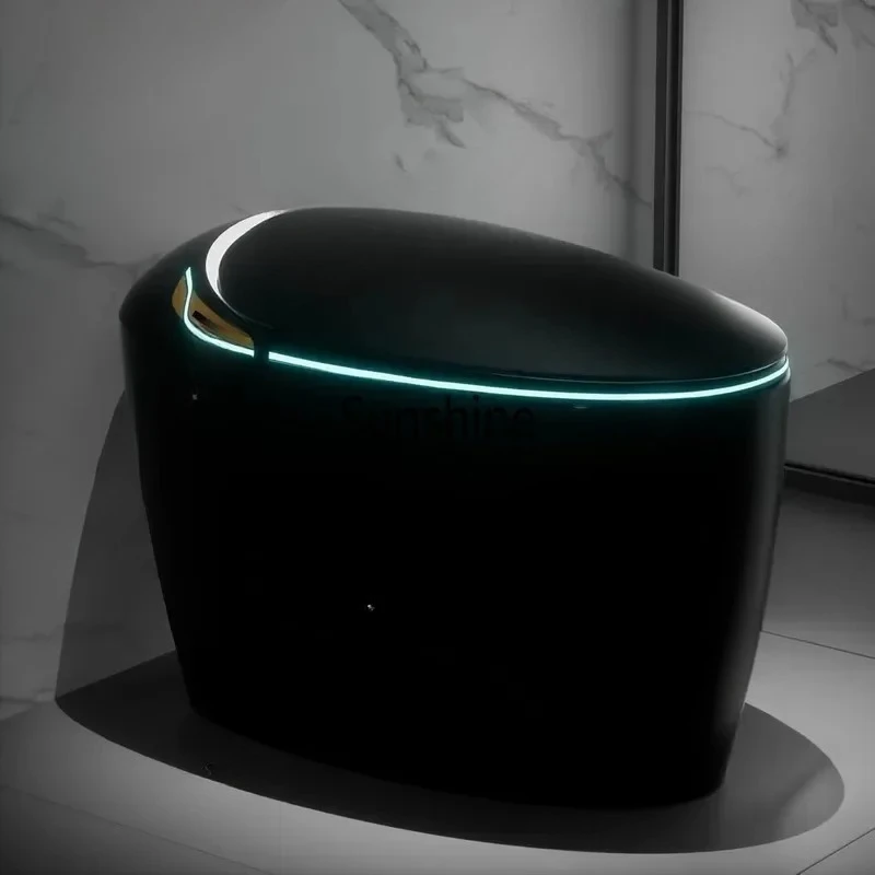 Luxury Smart Toilet With Bidet Seat, Elongated Egg Shaped Modern Design, Auto Open Auto Flush, Adjusted Heated Seat, Warm Water