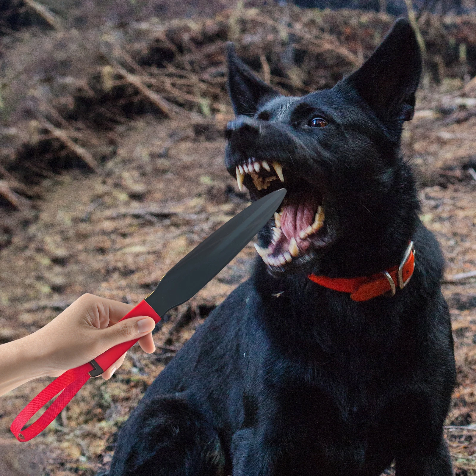 Bâton d'Entraînement à la Morsure pour Chien, en Nylon Durable, Professionnel, Jouets à Mâcher pour Pitbull, Moyen et Grand, pour le Bain