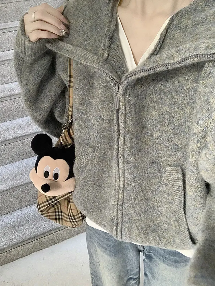 

American Retro ey Hooded Knitwear Jaet Women's Autumn Winter Thiened Loose Zipper ort Top Casual Luxury Sle