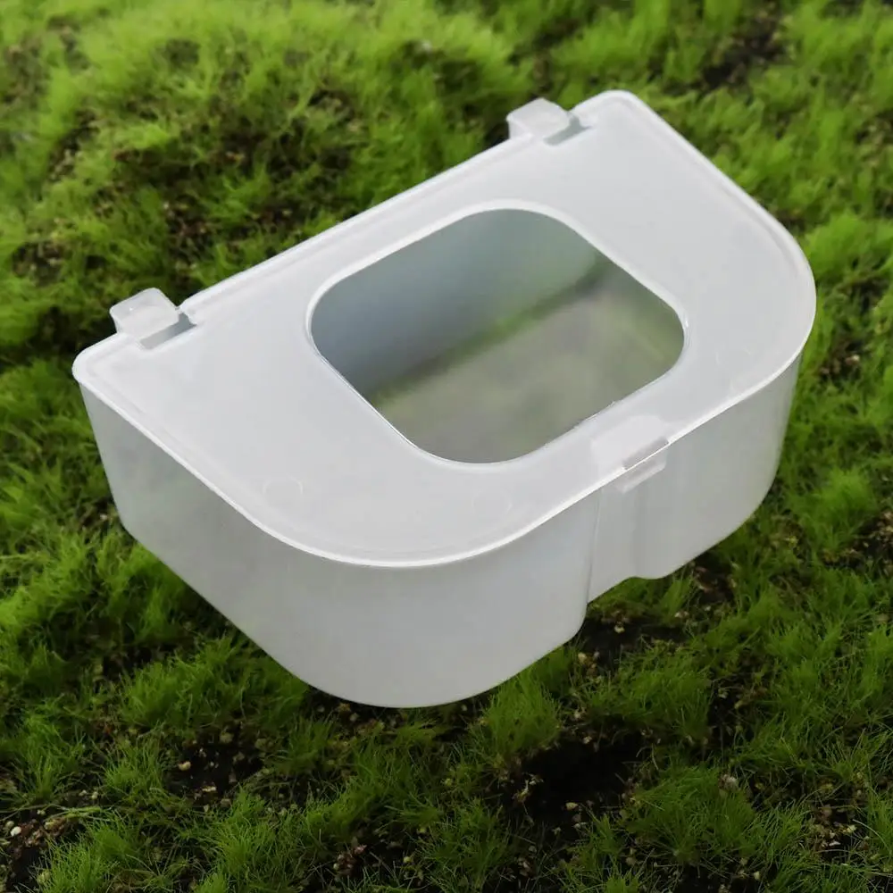 Transparent Pigeon Anti Scattering Food Box Plastic with lid Carrier Pigeon Food Box Large Capacity Anti-splash