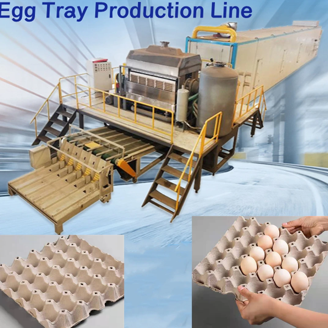 Fully Automatic Egg Tray Machine High-Efficiency Production of Eco-Friendly Egg Trays Ideal for Poultry and Packaging Industries