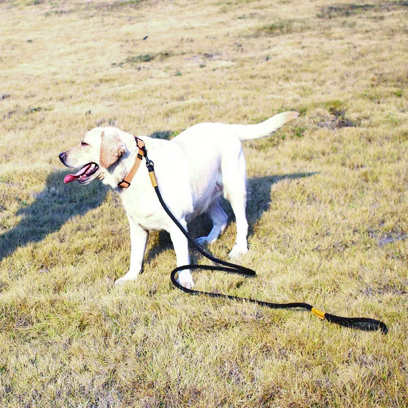 Collar de nailon para perros, correa de 5M de largo para mascotas, perros medianos y grandes, cachorros, entrenamiento para caminar al aire libre, natación, correas para perros