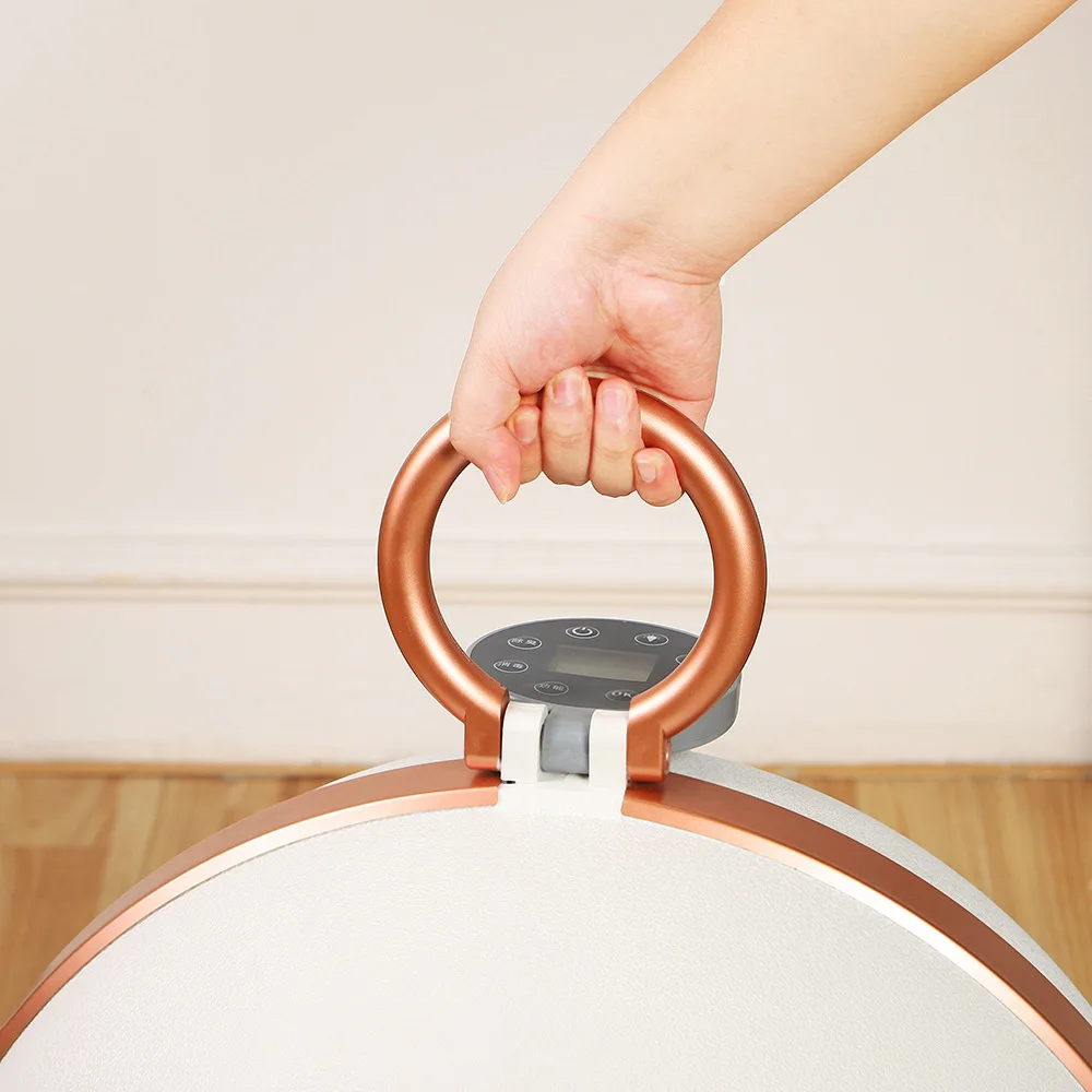 Automatic Pet Dryer for Cats and Small Dogs Ultra Quiet Dog Hair Dryer With Smart Temperature Control And 360 Drying