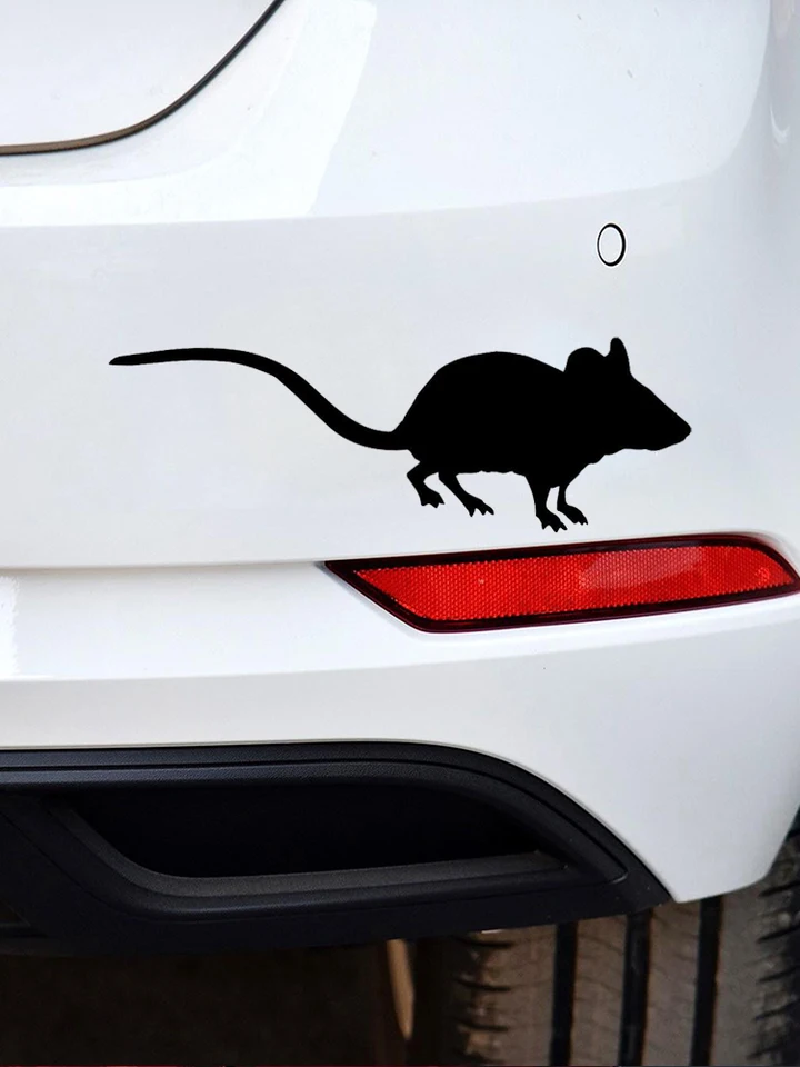 Lot De 6 Autocollants Voiture Raton Laveur Drôle – Stickers Résistants UV Pluie – Décoration Fun Pour Auto, Moto, SUV, Fenêtre