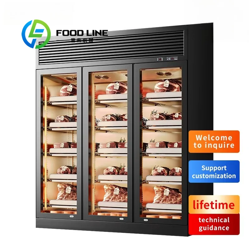 Vertical Dry Aging Cabinet Adjustable Shelves Uniform Air Circulation For Beef Pork And Gourmet Meat Storage Aging