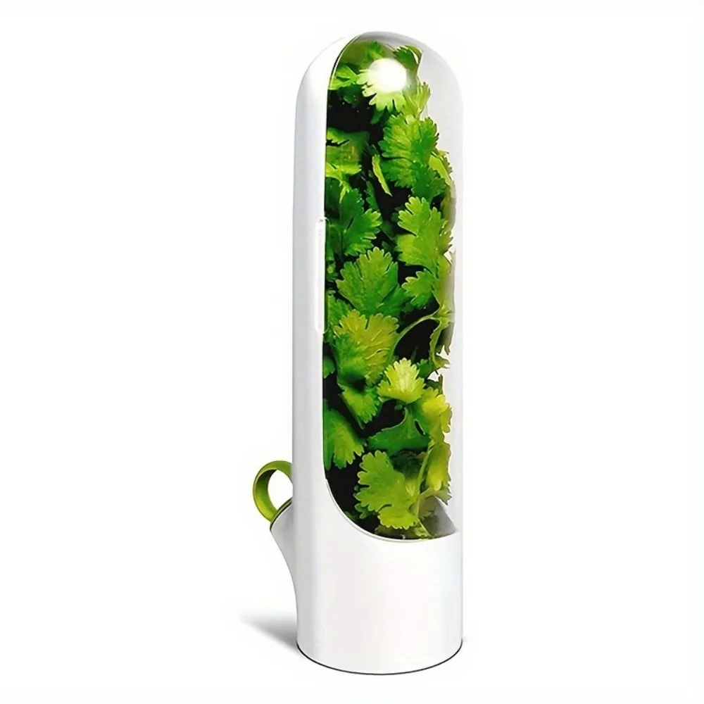 1pc Vegetable Freshener Container, Herb Storage Container, Mint Refrigerator Vegetable Storage