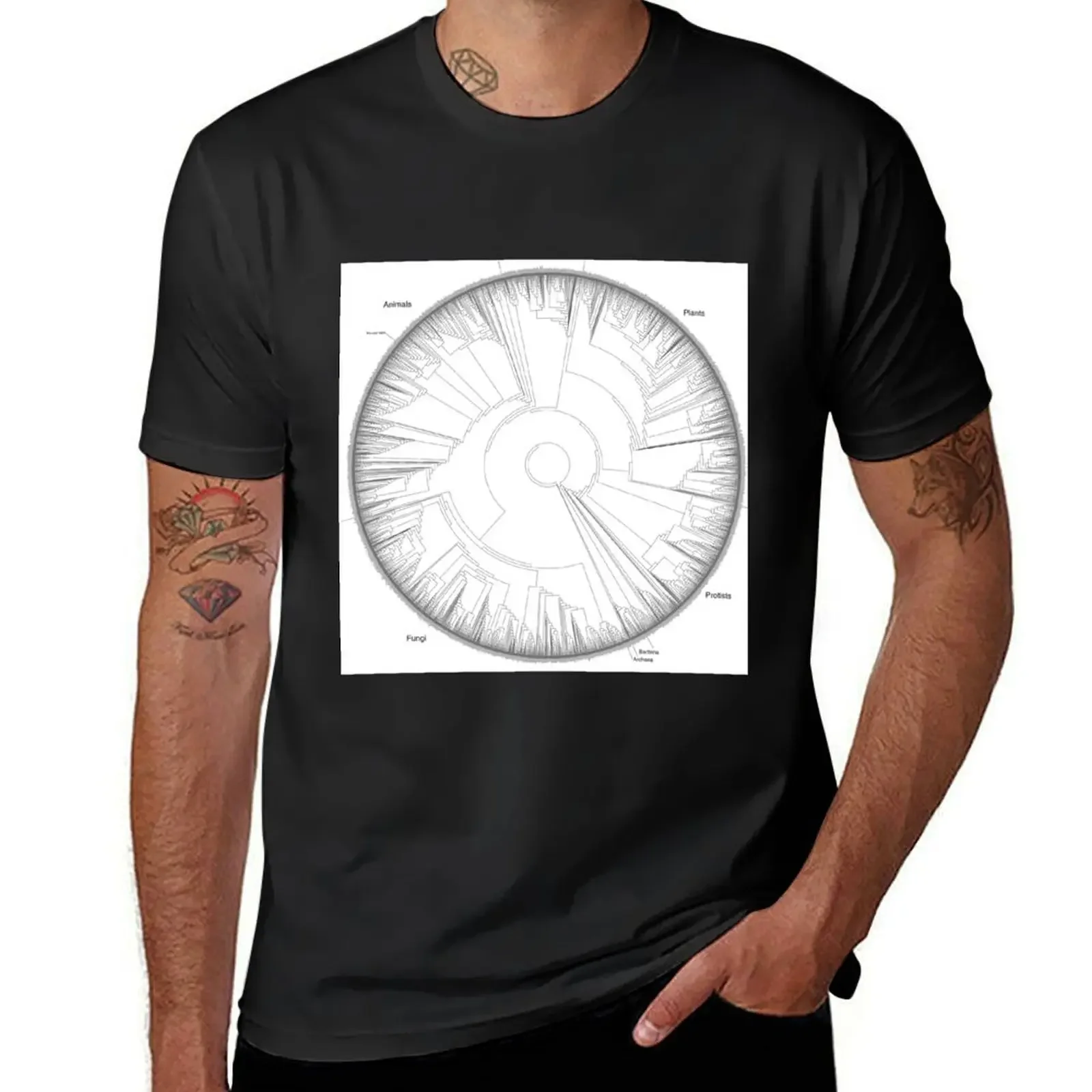 Tree of Life Hillis Plot T-Shirt blanks shirts graphic tees mens graphic t-shirts big and tall