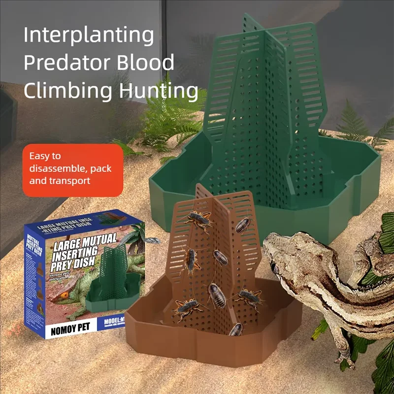

Crawling pet, live insect, anti escape feeder, mane lion, eyelash horn, palace guard, horned frog, Dubia cricket, live predator