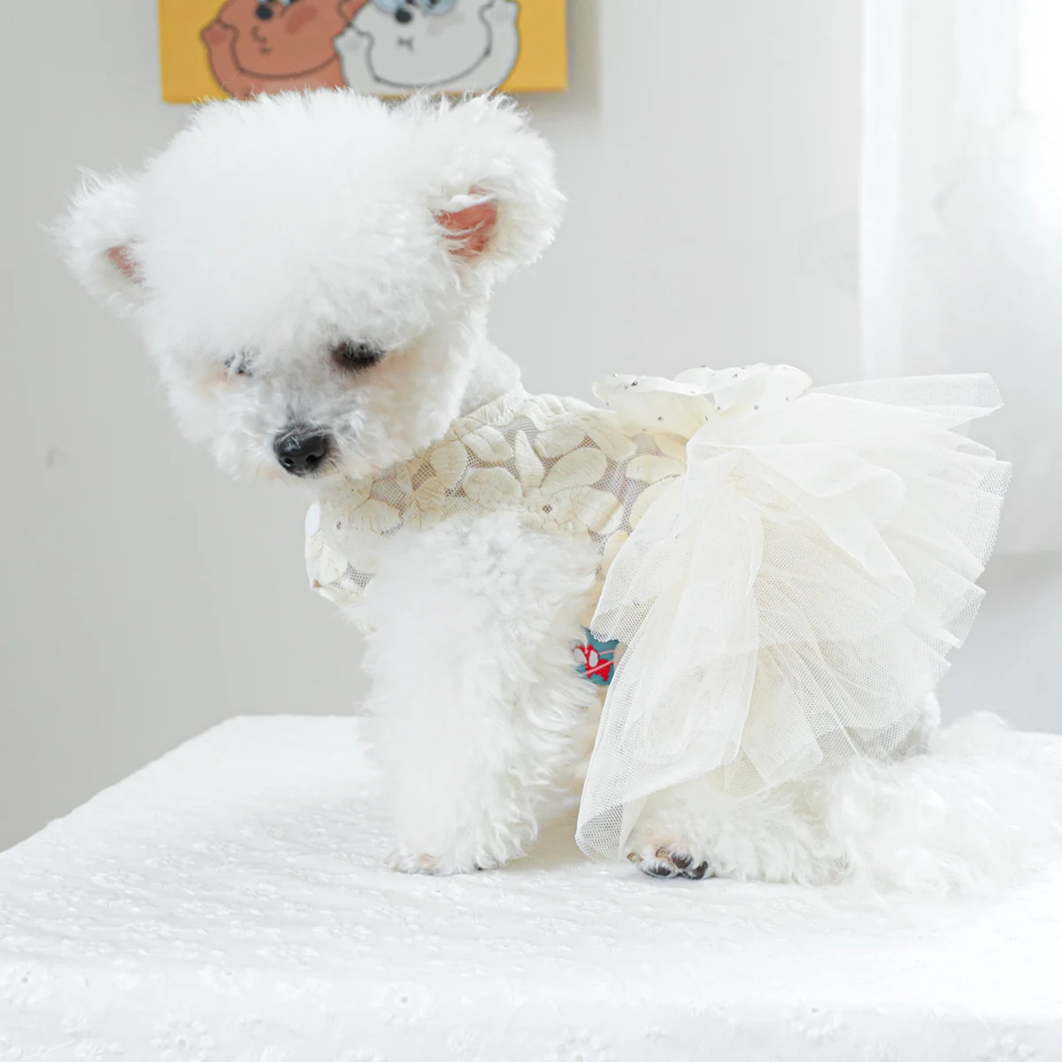 1PC Pet Clothing Cat Spring/Summer Thin White Floral Elf Wedding Dress Princess Dress Suitable for Small and Medium Dogs