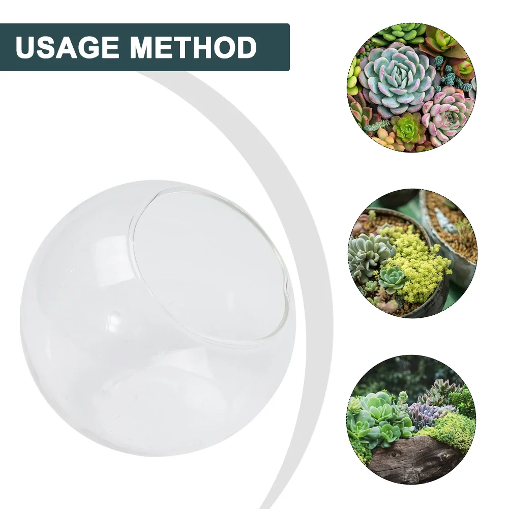 

Creative Clear Glass Ball Vase Succulent Plant Landscape Glass Vase Ball-shaped Hanging Flowerpot Container Home Decoration