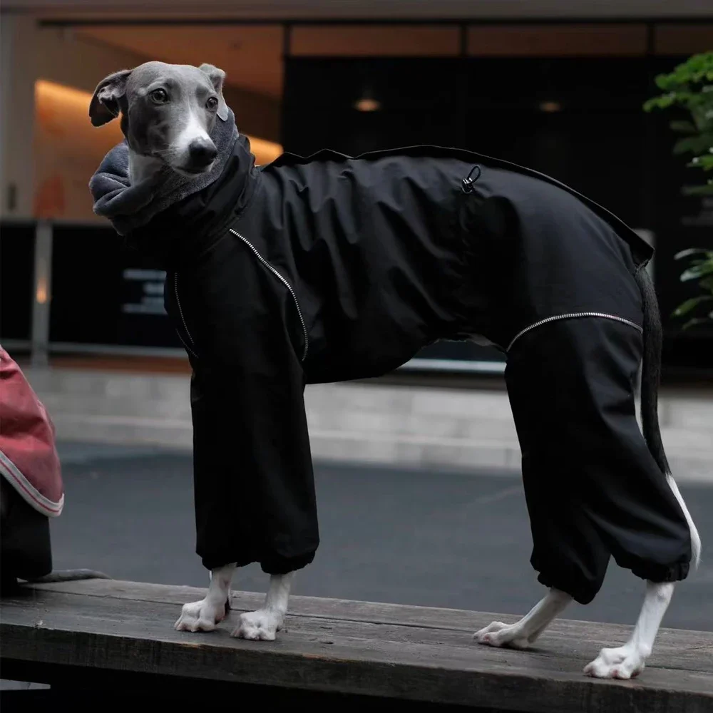 Luxury Thick Warm Coat for Italian Greyhound in Winter Waterproof Windproof Jacket with Colllar Fur for Whippet in Cold Weather