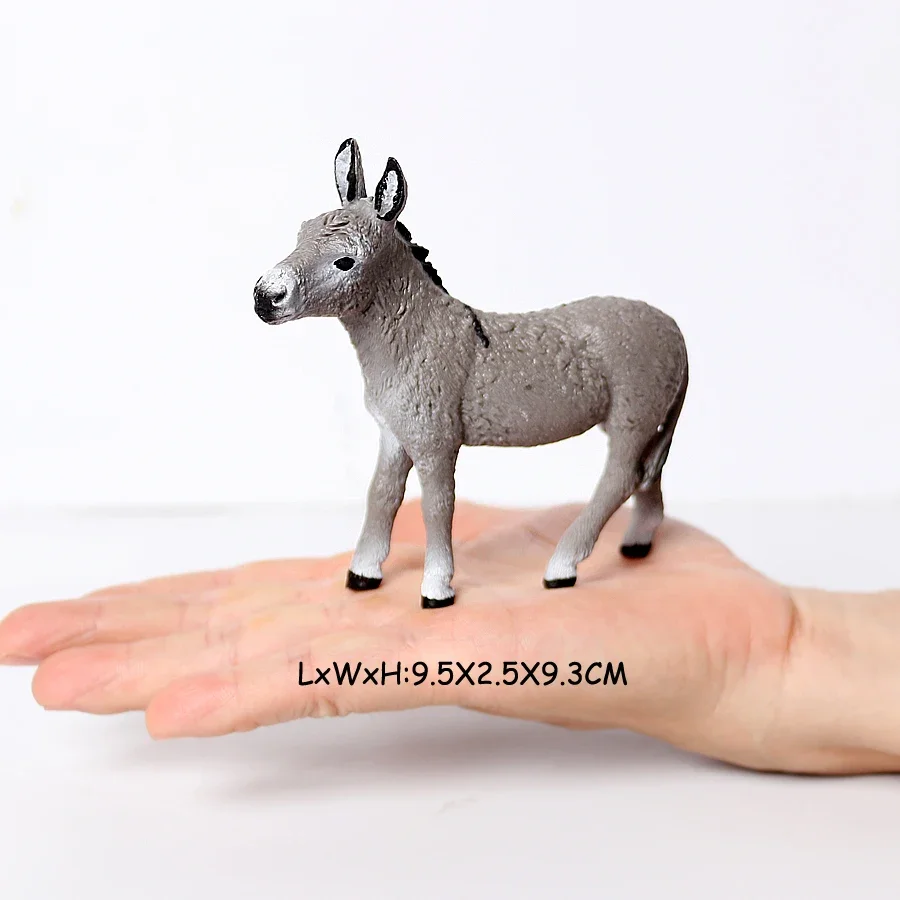Donkey 7