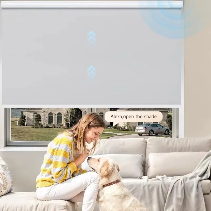 Motorized Roller Blinds, 100% Blackout Fabric, WiFi APP Alexa Smart Remote Control Electric Window Shades, Modern Design