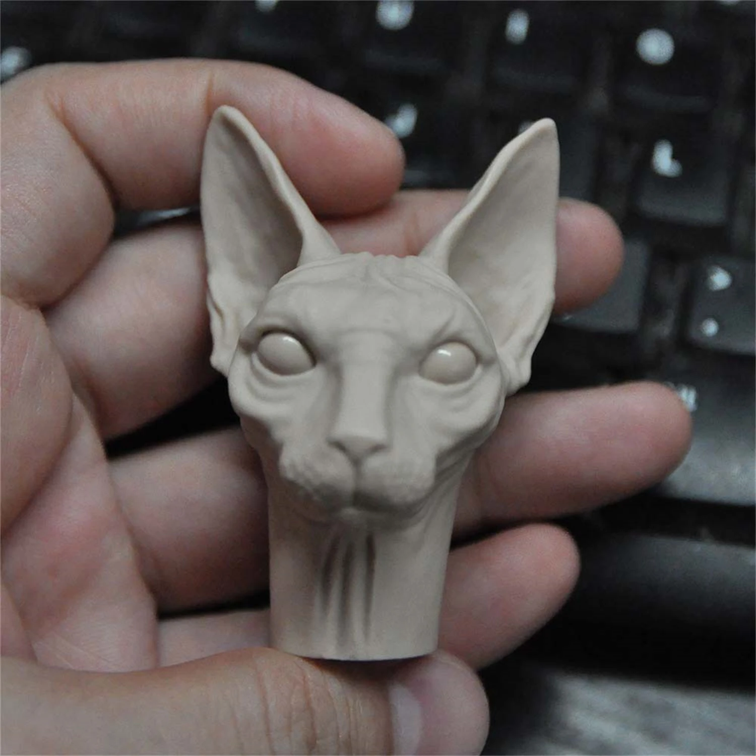 1/6 Scale Unpainted Sphynx Hairles Cat Head Sculpt Model DIY Animal Action Figure Legion