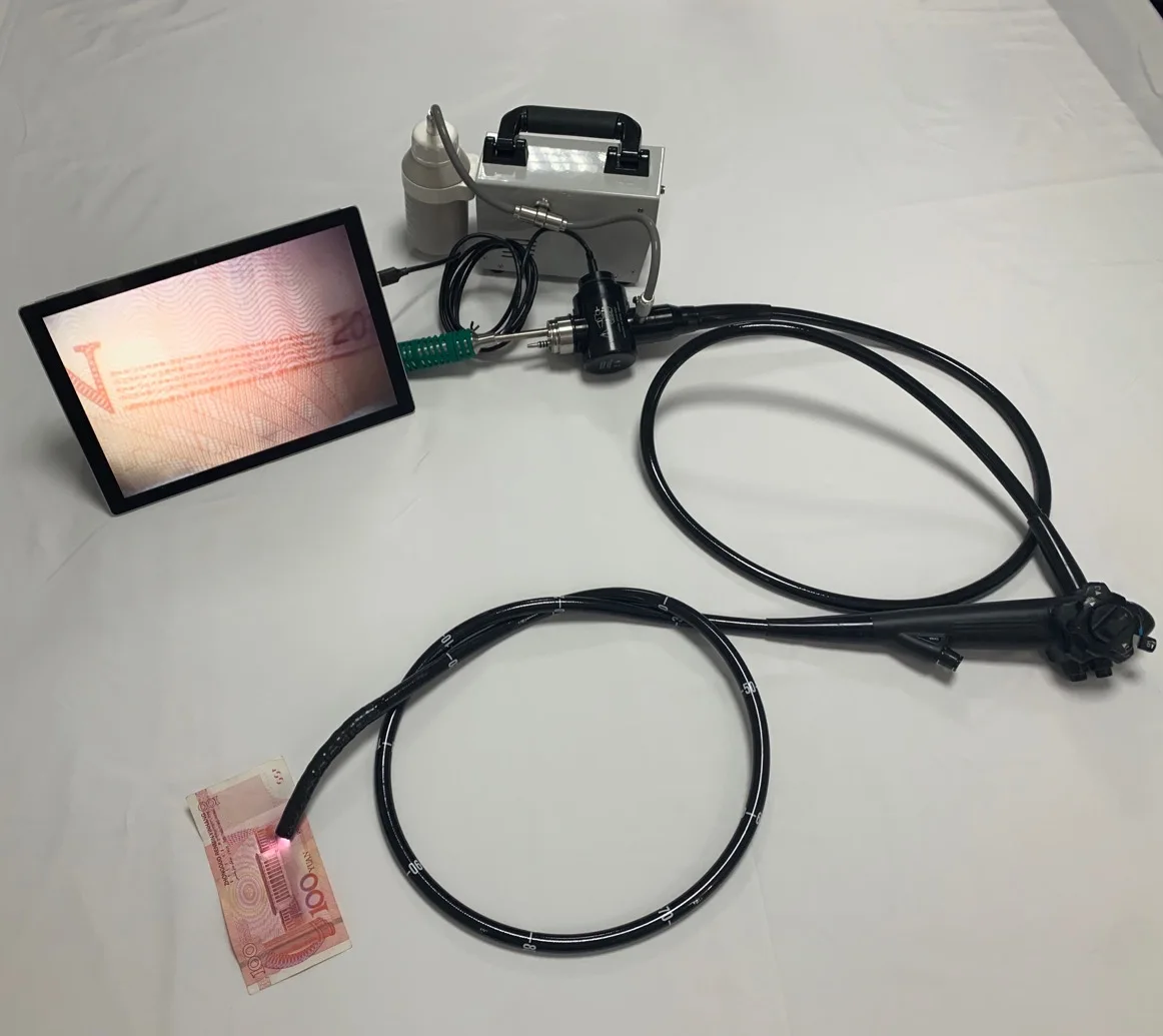 Veterinary Instrument Digital VET USB Colonoscop Flexible Video Colonoscope