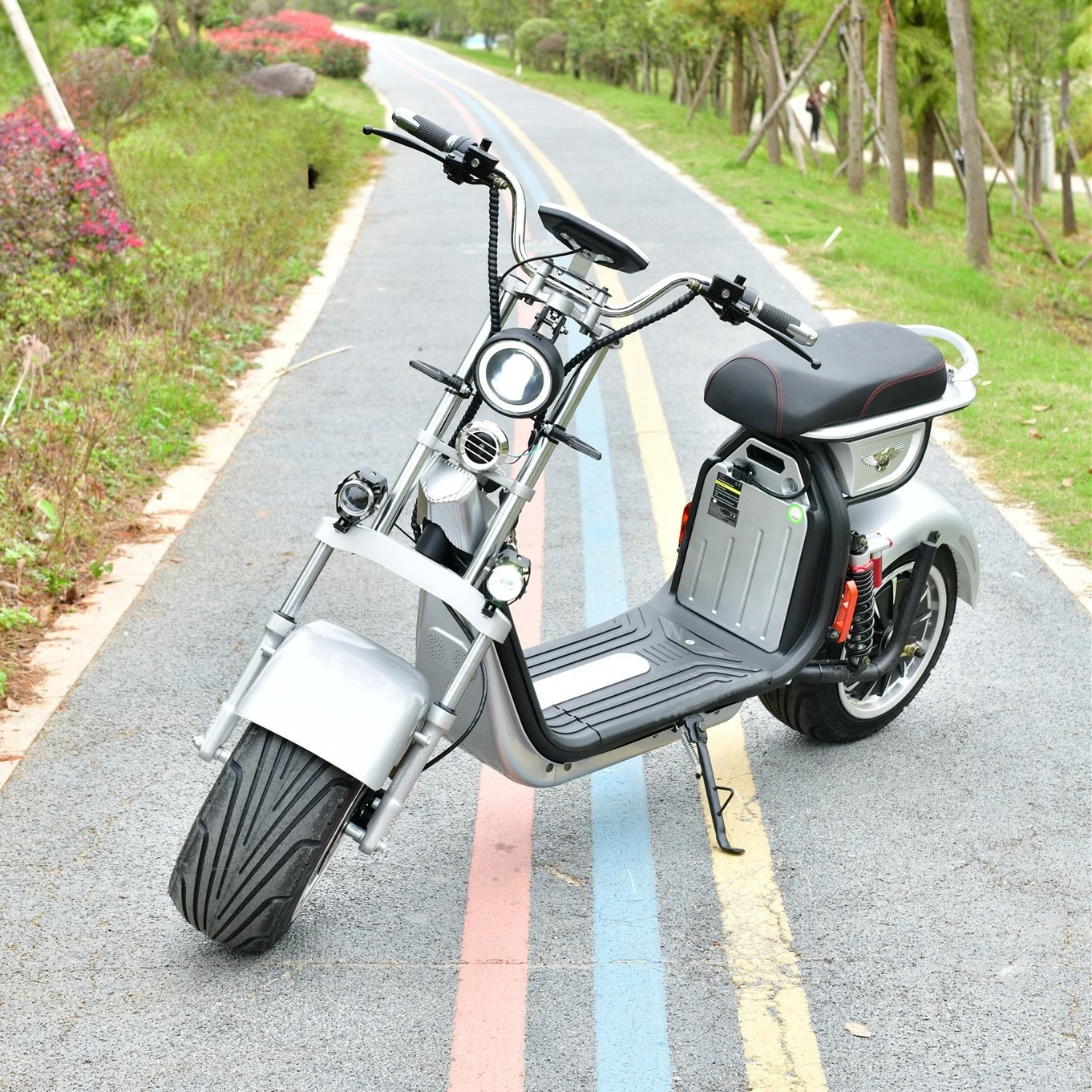 

2000W 60v12ah European Licensed Wide-tire Electric Scooter