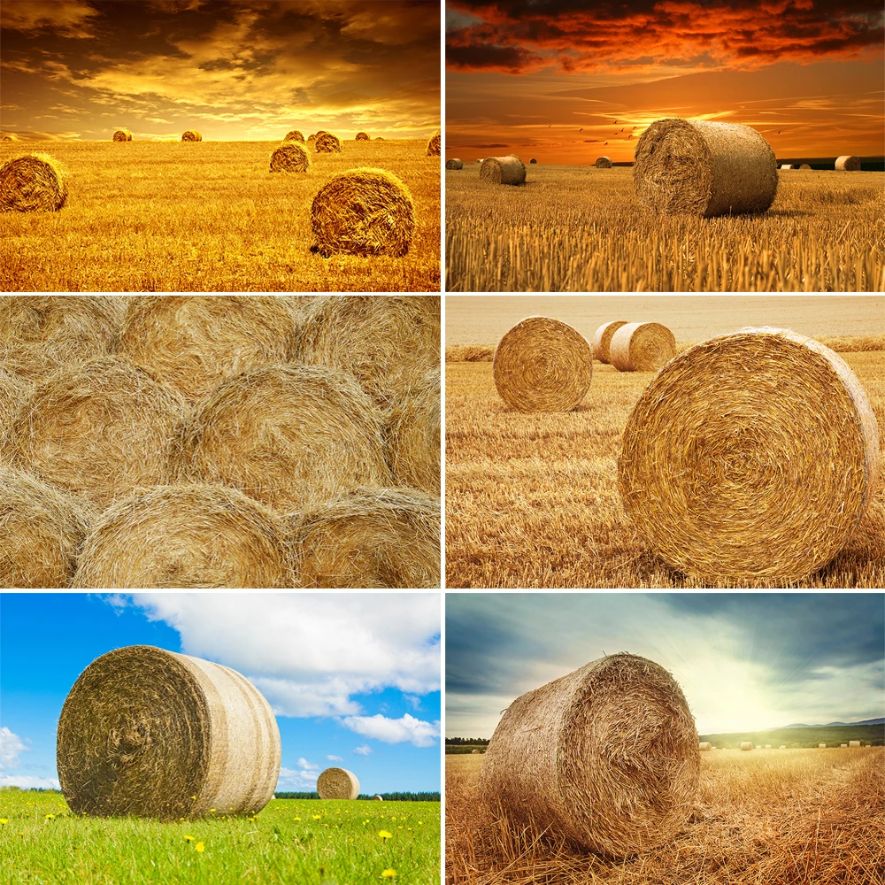 

Haystacks Photography Backdrops Cowboy Autumn Farm Cabin Harvest Board Pumpkin Birthday Decoration Background for Studio Photo