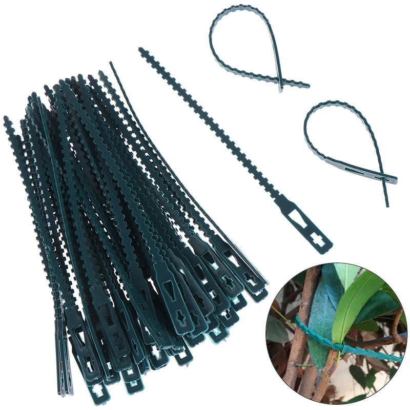 10/50pcs plastikowa roślina opaski kabel wielokrotnego użytku opaski do wspinaczki na drzewa ogrodowe podpora regulowana rośliny do domowego ogrodu