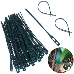 10/50pcs plastikowa roślina opaski kabel wielokrotnego użytku opaski do wspinaczki na drzewa ogrodowe podpora regulowana rośliny do domowego ogrodu narzędzie do wiązania