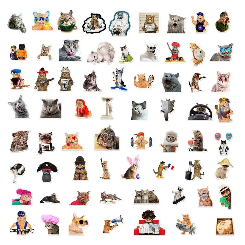 

Cat Stickers Cute 66pcs Funny Kitten Decals Fun Animal Decal For Water Bottles Laptop Phone Scrapbook Journal Luggage