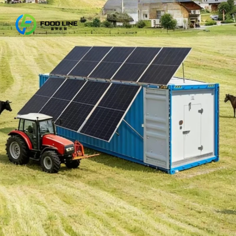 Customized 40ft Solar Freezer Refrigerated Container Solar Powered Cold Storage Room Complete with Solar Panels Equipment