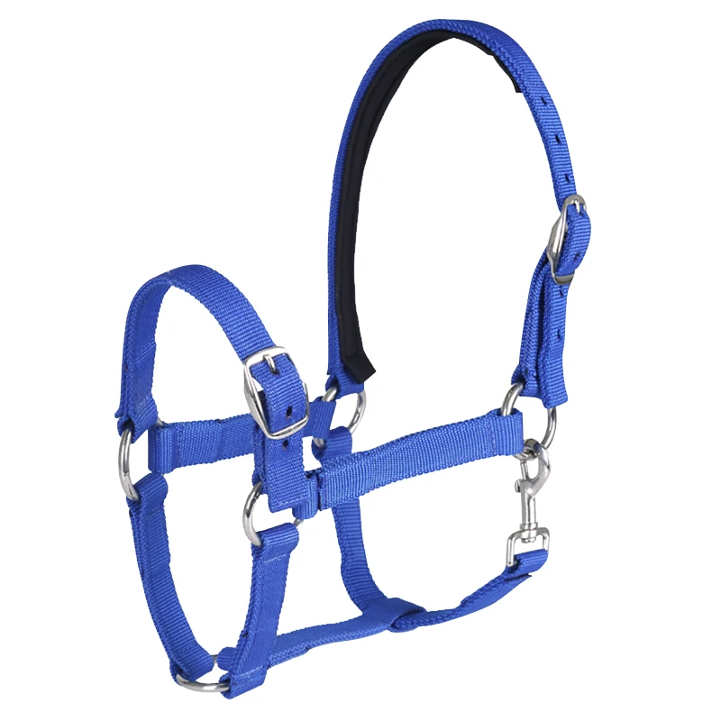 headstall Lead a horse by the halter equestrian equipment adjustable horse halter Protect the horse's halter 8218003