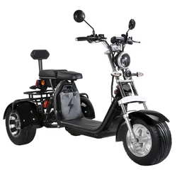 Europe registrable road legal 3 wheel scooter 2000w 3000w citycoco  in Netherlands warehouse