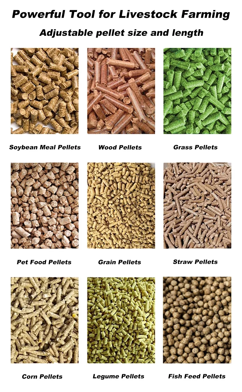 Small Feed Pellet Machine for Chicken Duck Rabbit and Poultry Farm Use