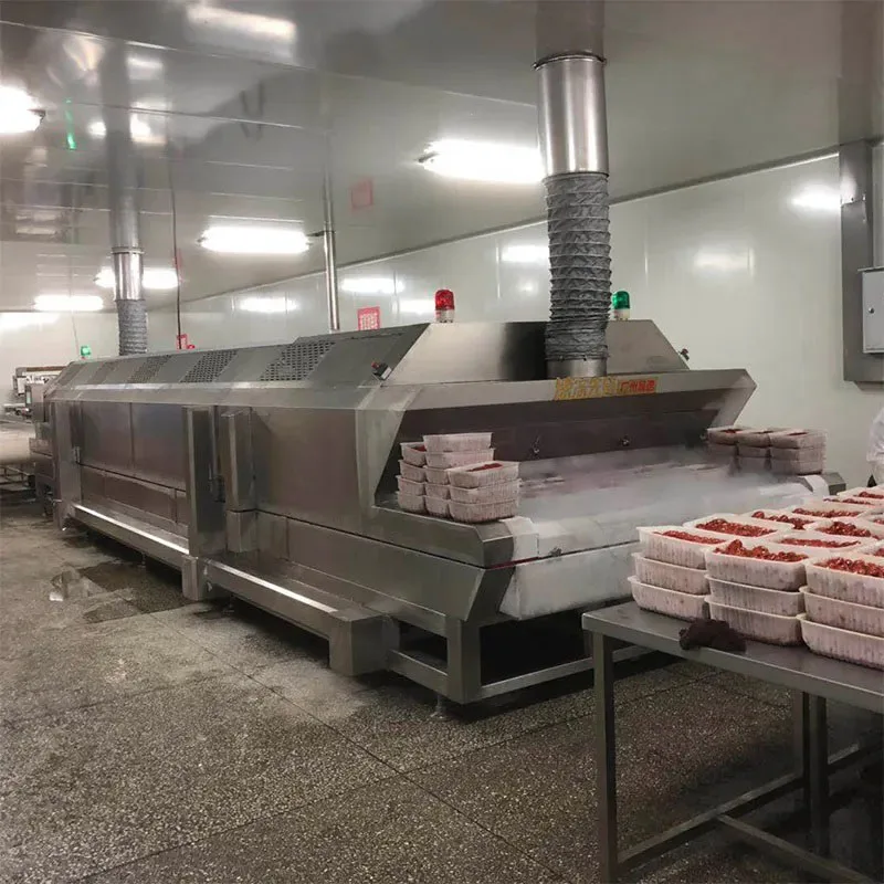 Small Automatic Liquid Nitrogen Cooling Tunnel IQF Freezer for Barhi Date Fruit Quick Freezing Plant Custom