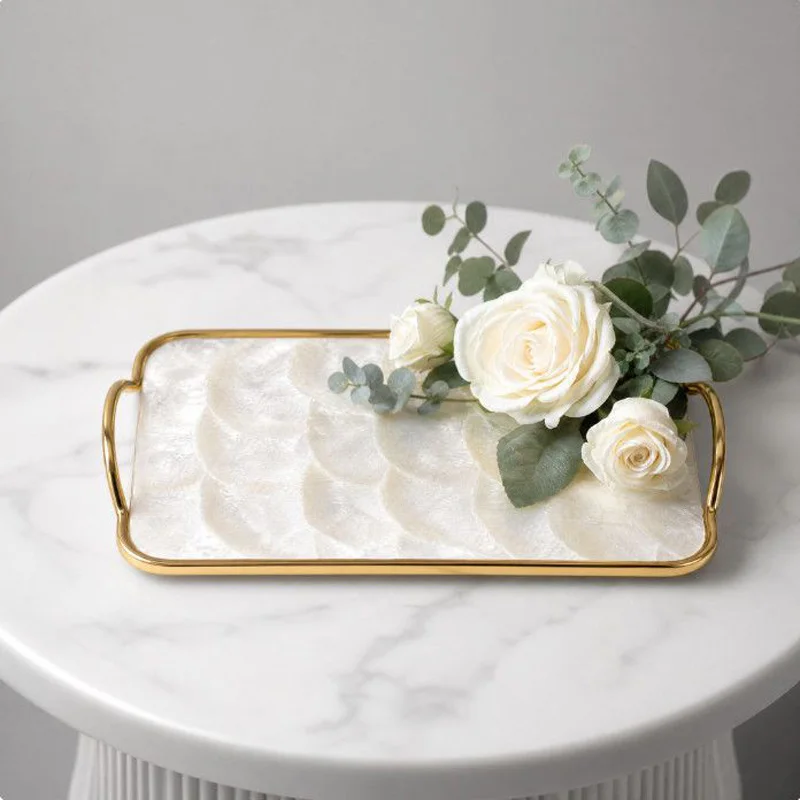 xx-Metal Frame Shell Storage Plate Decoration Home Livingroom Coffee Table Fruit Snack Tray Dresser Cosmetics Jewelry Plate