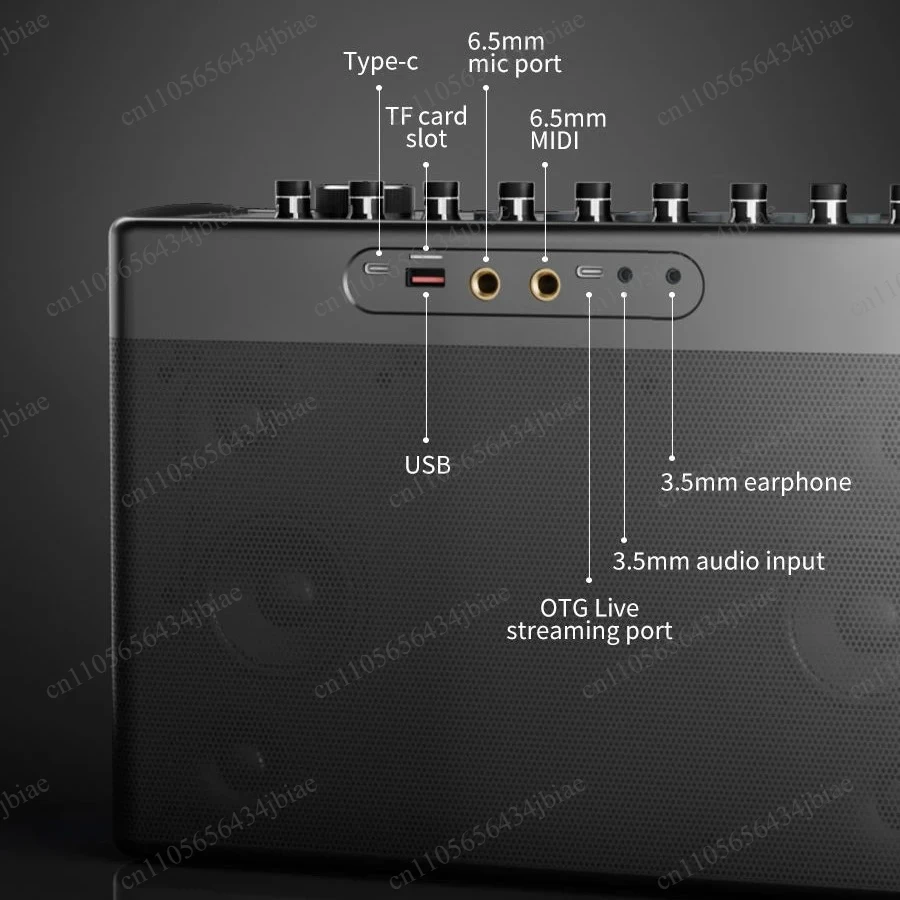 Supports MIC OTG Live for S1127 PLUS 300W KPortable Speaker With 2 Wireless Microphones
