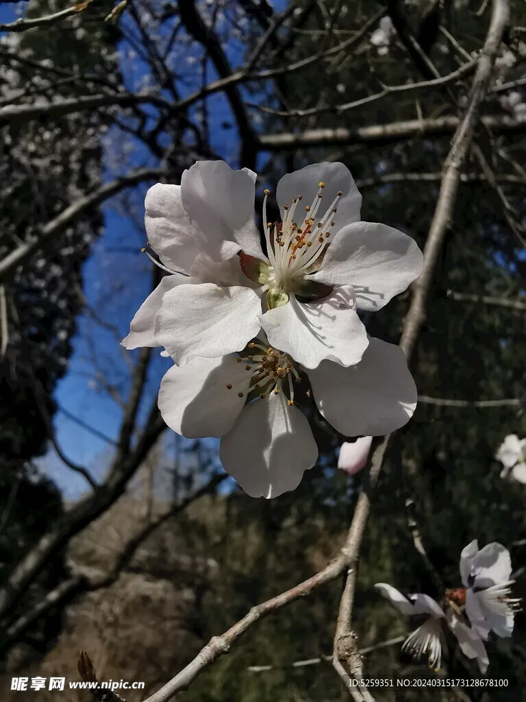 

Комплект из 4 колес и шин для радиоуправляемых краулеров 1/10, прочные высокопроизводительные запасные части, аксессуары для радиоуправляемых машин, совместимые с 90046 TRX4