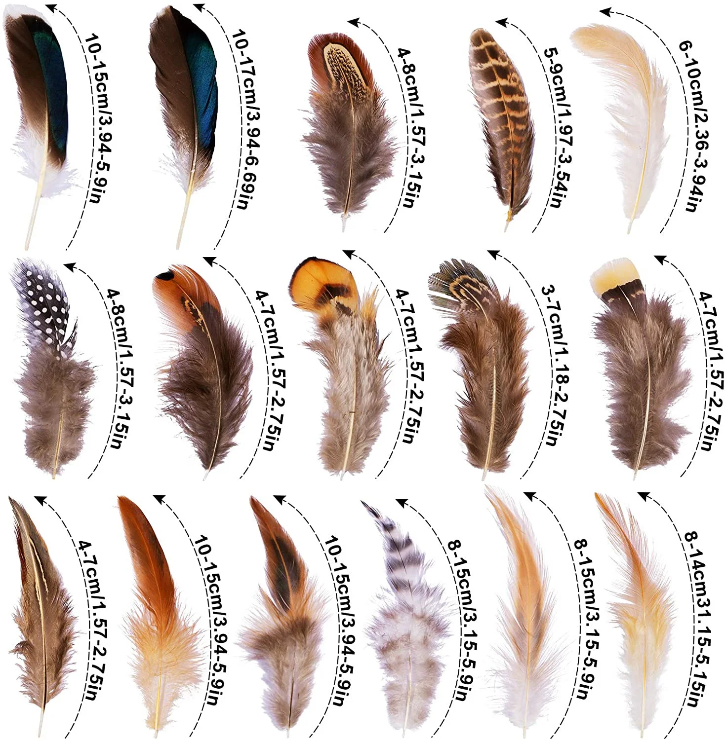 Pretty Natural Small Pheasant Feathers Chicken Feather for Crafts Earrings Making Accessories Decoration Peacock Plumes Wholesal