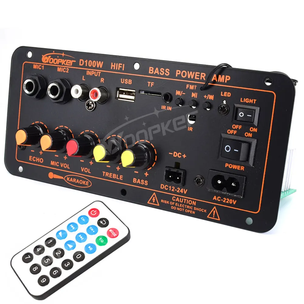 Ciare YSD100 modulo di potenza per Subwoofer da 100W Ciare YSD100 modulo di potenza per Subwoofer da 100W
