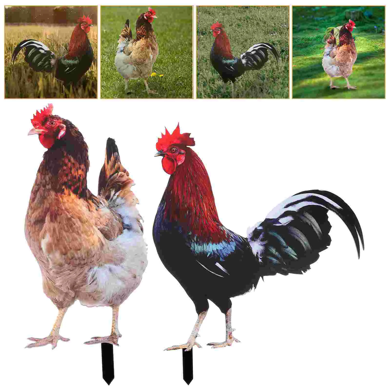 

2 Pcs Decorative Garden Inserts Rooster Chicken Hen Stake Sign Yard Animal Stakes Decorations